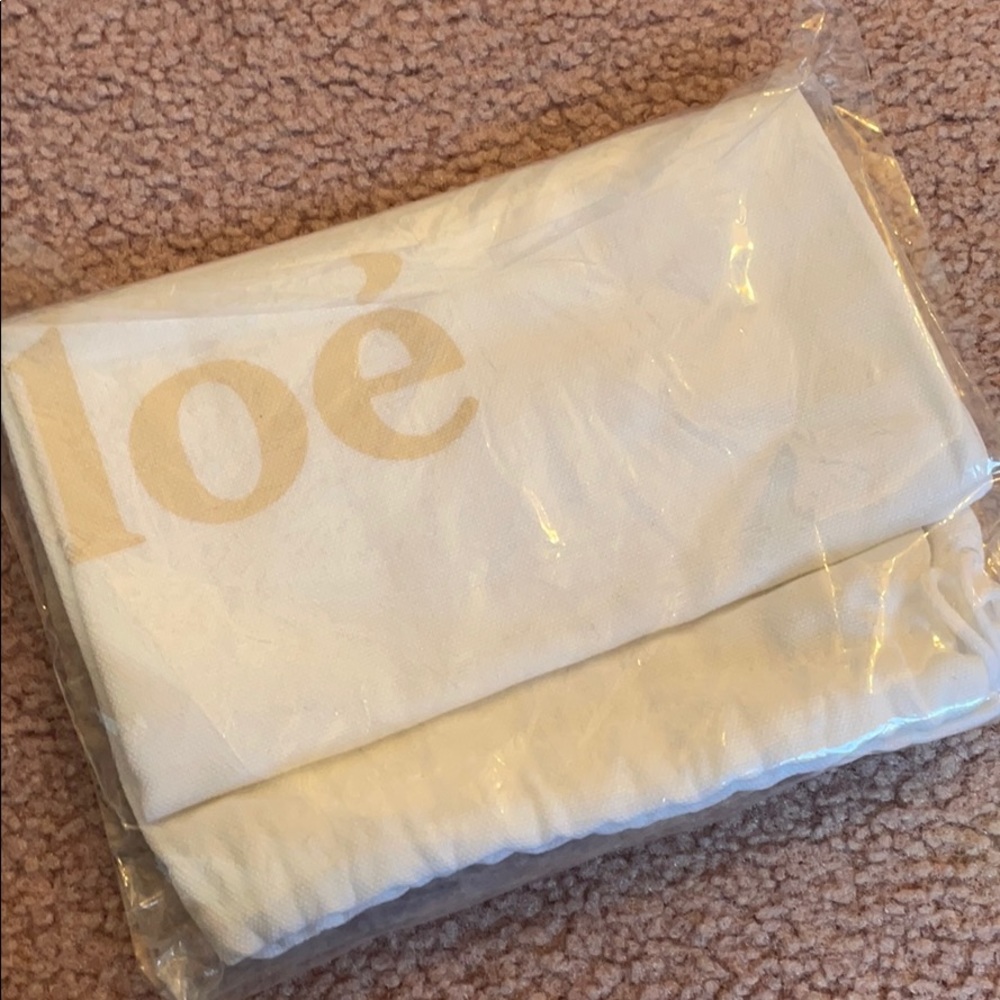 Large chloe dust bag